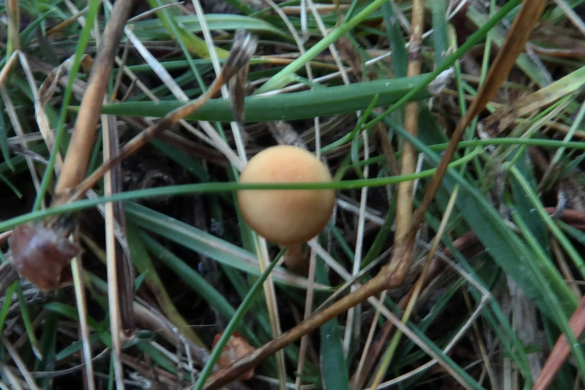 1 -